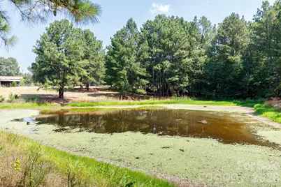 410 Ole Simpson Place, Catawba, SC 29704 - Photo 32