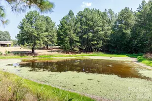 410 Ole Simpson Pl, Catawba, SC 29704 - Photo 32
