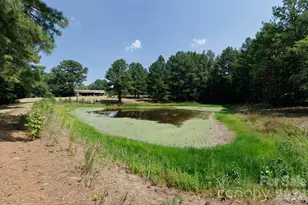 410 Ole Simpson Pl, Catawba, SC 29704 - Photo 30