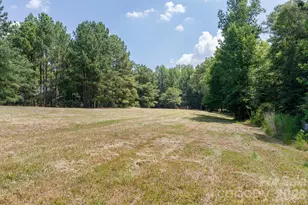 410 Ole Simpson Pl, Catawba, SC 29704 - Photo 34