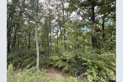 0 Harrison Hill Road #15, Swannanoa, NC 28778 - Photo 12