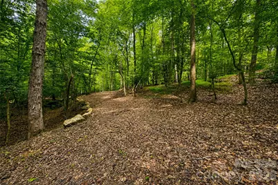 1147 Whispering Winds Drive, Catawba, NC 28609 - Photo 44