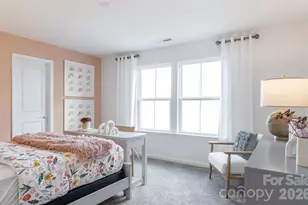 10011 Limpkin Ct, Charlotte, NC 28278 - Photo 10