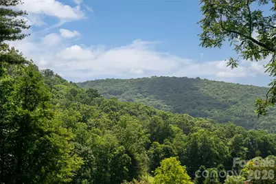 360 Pinners Cove Road, Asheville, NC 28803 - Photo 16