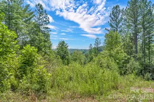 1568 Watermill Rd, Morganton, NC 28655 - Photo 14