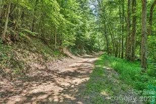 1568 Watermill Rd, Morganton, NC 28655 - Photo 22
