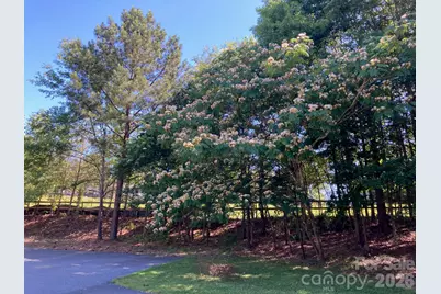1095 E Prince Road, Landrum, SC 29356 - Photo 26