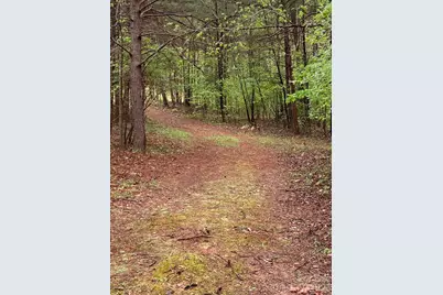 1095 E Prince Road, Landrum, SC 29356 - Photo 30