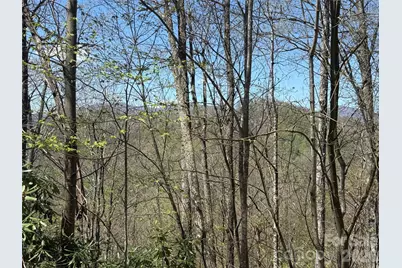 24 Elk Mountain Loop, Newland, NC 28657 - Photo 10
