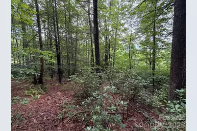 0 Gateway Drive #10, Hendersonville, NC 28739 - Photo 8