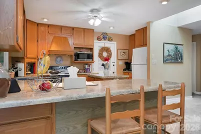 337 Delphia Drive, Brevard, NC 28712 - Photo 30