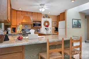 337 Delphia Dr, Brevard, NC 28712 - Photo 30