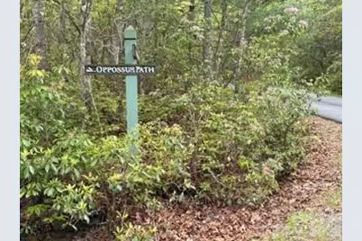 Fr16 Opossum Path #FR 16, Brevard, NC 28712 - Photo 1