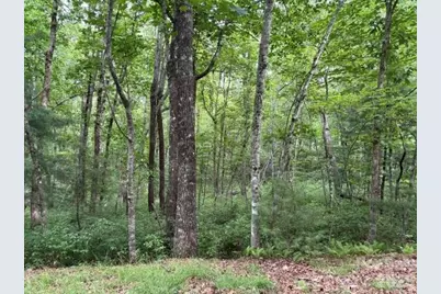 Fr16 Opossum Path #FR 16, Brevard, NC 28712 - Photo 12