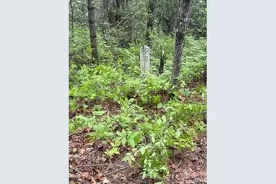 Fr16 Opossum Path #FR 16, Brevard, NC 28712 - Photo 10