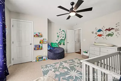 194 Snead Road, Fort Mill, SC 29715 - Photo 26