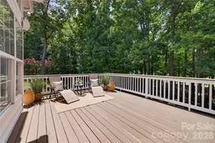 1910 Sycamore Berry Ct, Mint Hill, NC 28227 - Photo 42