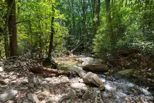 352 Celo Cove Dr, Burnsville, NC 28714 - Photo 44