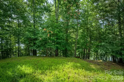 802 Marina Drive #3, Nebo, NC 28761 - Photo 14