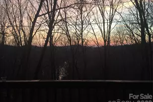 109 Usdasdi Dr, Brevard, NC 28712 - Photo 2