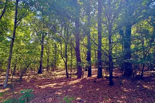 1801 Griffith Rd, Monroe, NC 28112 - Photo 10