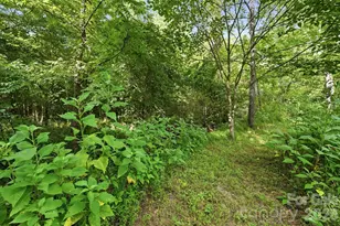 139 Addison Emory Ln, Mooresville, NC 28115 - Photo 44