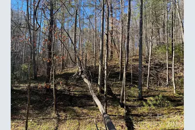 147 Falling Leaves Lane, Hendersonville, NC 28792 - Photo 2