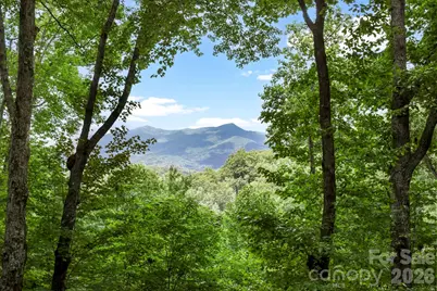 394 Hickory Drive, Waynesville, NC 28786 - Photo 42