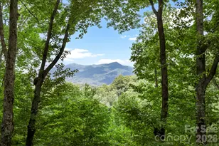 394 Hickory Dr, Waynesville, NC 28786 - Photo 42