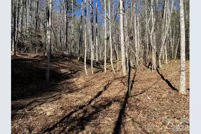 181 Falling Leaves Lane, Hendersonville, NC 28792 - Photo 2