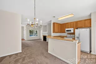 8618 Twined Creek Ln, Charlotte, NC 28227 - Photo 4