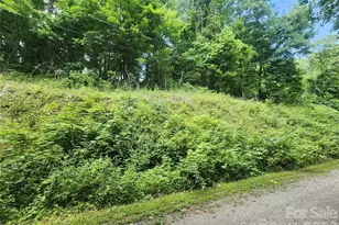 000 Jacks Knob Rd, Weaverville, NC 28787 - Photo 1
