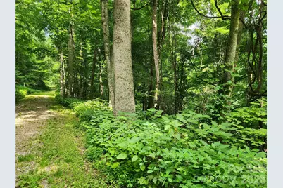 0000 Jacks Knob Road, Weaverville, NC 28787 - Photo 2