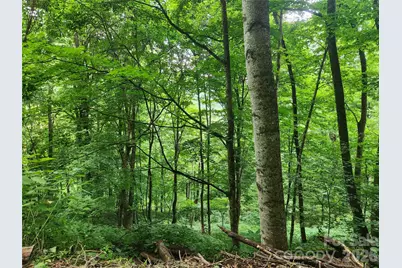 0000 Jacks Knob Road, Weaverville, NC 28787 - Photo 1