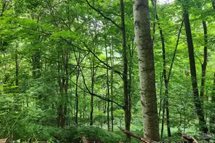 0000 Jacks Knob Rd, Weaverville, NC 28787 - Photo 1