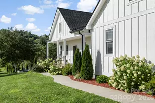 29 Banner Cottages Ln, Mills River, NC 28759 - Photo 10