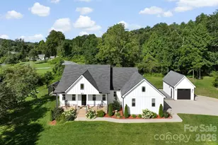 29 Banner Cottages Ln, Mills River, NC 28759 - Photo 2