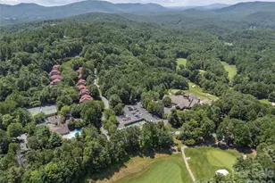 16 Lacoste Dr, Hendersonville, NC 28739 - Photo 44