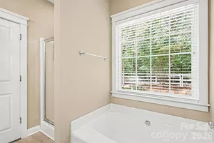 10753 Tradition View Dr, Charlotte, NC 28269 - Photo 14