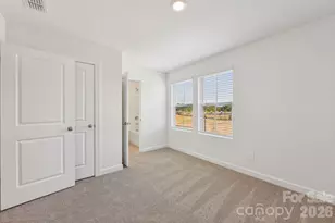 9004 Foggy Brook Loop, Charlotte, NC 28216 - Photo 14