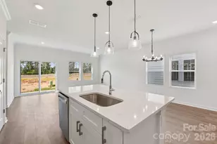 9004 Foggy Brook Loop, Charlotte, NC 28216 - Photo 4