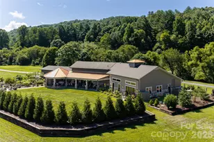660 Pleasant Grove Rd, Hendersonville, NC 28739 - Photo 44
