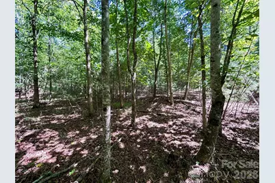 1036 W Paradise Harbor Drive, Connelly Springs, NC 28612 - Photo 2