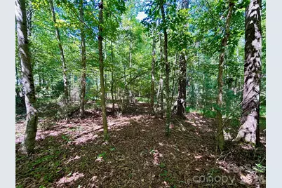 1036 W Paradise Harbor Drive, Connelly Springs, NC 28612 - Photo 4