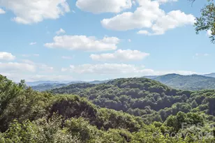 156 Cottage Ln, Mars Hill, NC 28754 - Photo 26