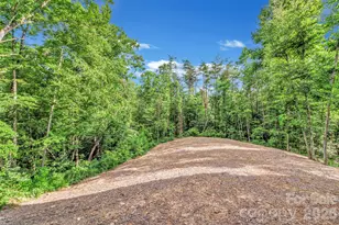 143 Sunny Morning Ct, Hendersonville, NC 28792 - Photo 44