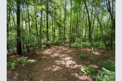 Lot 161 Eagle Lake Drive, Brevard, NC 28712 - Photo 4