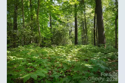 Lot 161 Eagle Lake Drive, Brevard, NC 28712 - Photo 1