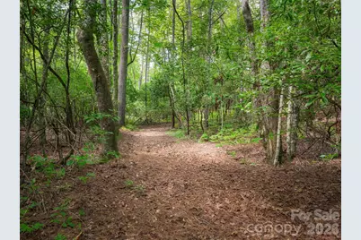 Lot 161 Eagle Lake Drive, Brevard, NC 28712 - Photo 2