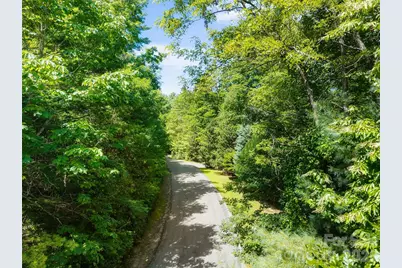 Lot 161 Eagle Lake Drive, Brevard, NC 28712 - Photo 8